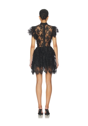 Bardot Tarryn Ruffle Lace Mini Dress in Black. Size 2. Also in 4, 6.