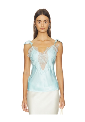 Bardot Ivy Lace Detail Camisole in Baby Blue. Size 10. Also in 12, 2, 4, 6, 8.
