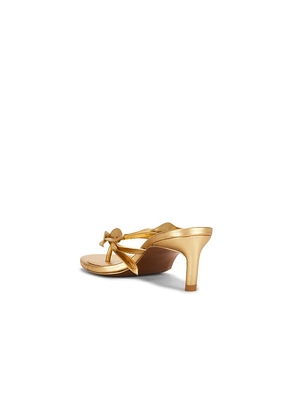 Cult Gaia Andie Sandal in Metallic Gold. Size 36.5. Also in 37, 37.5, 38, 38.5, 39, 39.5.