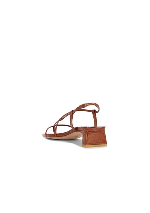 INTENTIONALLY BLANK Anca Sandal in Brown. Size 38. Also in 41.