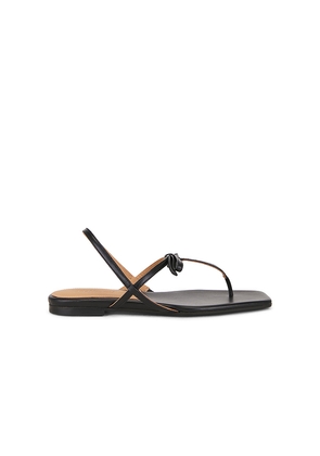 Flattered Sina Sandal in Black. Size 36. Also in 37, 38, 39, 40.