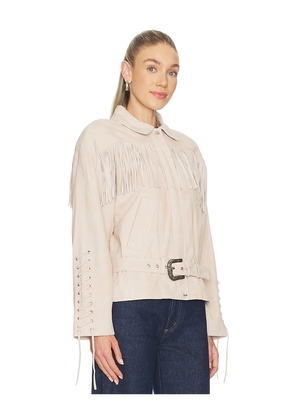 LAMARQUE Kyel Suede Jacket in Cream. Size L. Also in S, XS, M, XL.