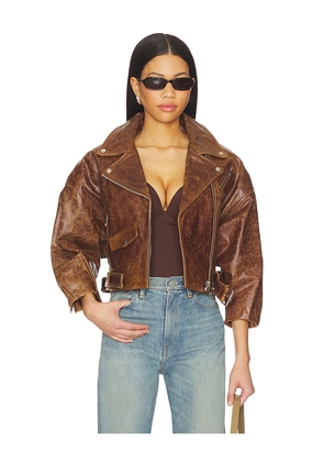 LAMARQUE Vinnie Jacket in Brown. Size L. Also in M, S, XS.