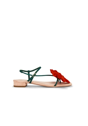 Loeffler Randall Genevieve Flower Applique Flat Sandal in Red,Green. Size 5.5. Also in 6, 6.5, 7, 7.5, 8, 8.5, 9, 9.5.