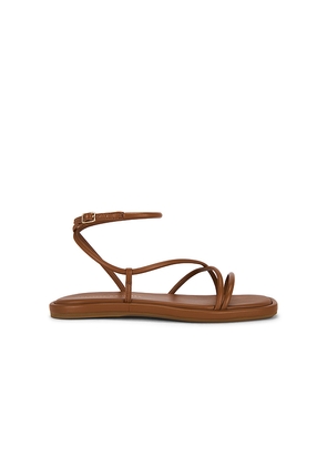 Loeffler Randall Noor Strappy Ankle Wrap Flat Sandal in Brown. Size 10. Also in 6, 6.5, 7, 7.5, 8, 8.5, 9, 9.5.