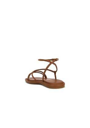 Loeffler Randall Noor Strappy Ankle Wrap Flat Sandal in Brown. Size 10. Also in 6.5, 8, 9.5.