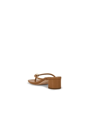 Loeffler Randall Odessa Heeled Sandal in Brown. Size 10. Also in 6, 6.5, 7, 7.5, 8, 8.5, 9, 9.5.