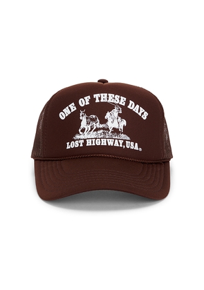 ONE OF THESE DAYS Lost Highway Trucker in Brown.