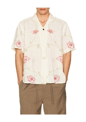 Kardo Ronen Shirt in Cream. Size L. Also in M, S, XL/1X.