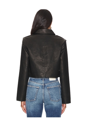 Steve Madden Verone Jacket in Chocolate. Size M. Also in XS, L, XL.