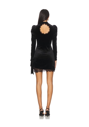 SAYLOR Christabel Dress in Black. Size S. Also in XS.