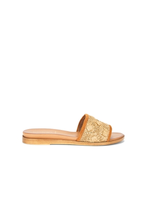 Seychelles Dakota Sandal in Neutral. Size 10. Also in 11, 6, 6.5, 7, 7.5, 8, 8.5, 9, 9.5.