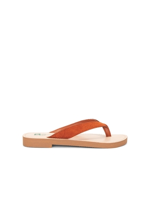 Seychelles Deliah Sandal in Rust. Size 10. Also in 11, 6, 6.5, 7, 7.5, 8, 8.5, 9, 9.5.