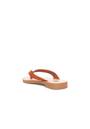 Seychelles Deliah Sandal in Rust. Size 10. Also in 6, 6.5, 7, 7.5, 8, 8.5, 9, 9.5, 11.