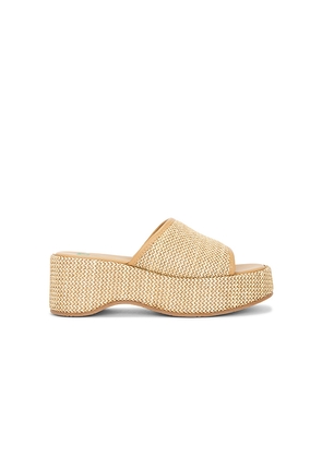 Seychelles Ocean Mist Sandal in Neutral. Size 10. Also in 6, 7, 8, 9.