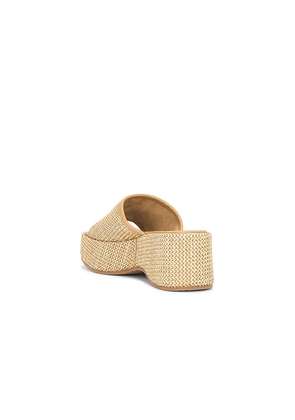 Seychelles Ocean Mist Sandal in Neutral. Size 10. Also in 6, 7, 8, 9.