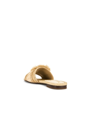 Sam Edelman Bambi Playa Sandal in Neutral. Size 6. Also in 6.5, 7, 7.5, 8, 8.5, 9, 9.5, 10.5.