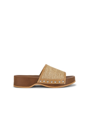 Seychelles Fantasy Raffia Sandal in Brown. Size 10. Also in 11, 6, 7, 8, 9.