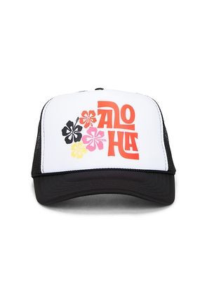 Friday Feelin Aloha Floral Hat in Black.