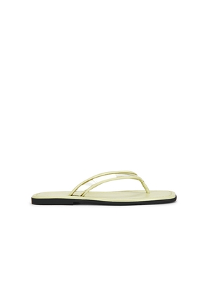 Veronica Beard Clea Piping Sandal in Green. Size 10. Also in 6, 7, 8, 9.