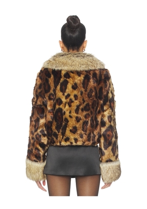 Unreal Fur Hidden Tiger Jacket in Brown. Size S. Also in L.