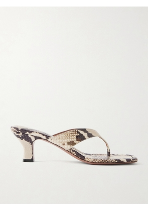 Paris Texas - Portofino Snake-effect Leather Mules - Animal Print - IT35,IT36,IT36.5,IT37,IT38,IT38.5,IT39,IT39.5,IT40,IT40.5,IT41,IT41.5,IT42