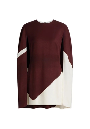 Alberta Ferretti colourblock dress - Brown