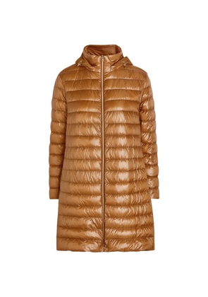 Herno hooded padded coat - Brown