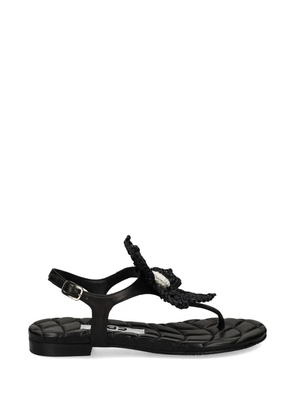 Ras flower-embellished thong sandals - Black