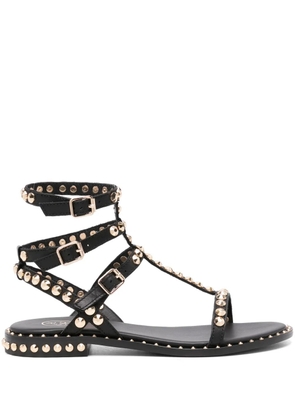 Ash Play01 studded leather sandals - Black