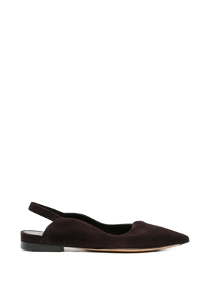mara bini pointed flat pumps - Brown