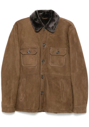 Barba suede jacket - Brown