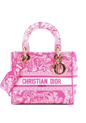Christian Dior Pre-Owned Lady D-Lite Bag Embroidered Canvas Medium satchel - Pink
