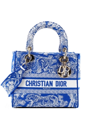 Christian Dior Pre-Owned Lady D-Lite Bag Embroidered Canvas Medium satchel - Blue