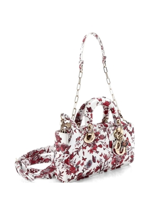 Christian Dior Pre-Owned Lady D-Joy Bag Printed Leather Small satchel - Multicolour
