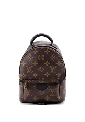 Louis Vuitton Pre-Owned Palm Springs Monogram Canvas Mini backpack - Brown