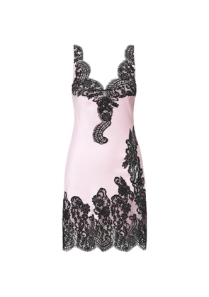 IL VOLO Cara lace detail mini dress - Pink