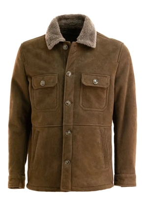 Barba suede jacket - Brown
