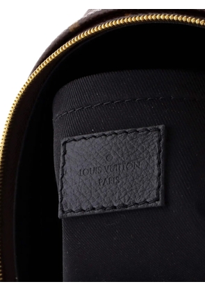 Louis Vuitton Pre-Owned Palm Springs Monogram Canvas Mini backpack - Brown