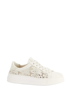 AGL lace sneakers - Neutrals