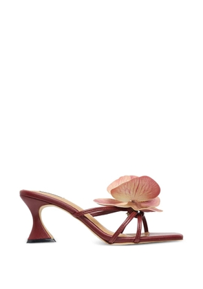 PACE Garden sandals - Brown