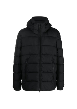Save The Duck logo-patch padded jacket - Black