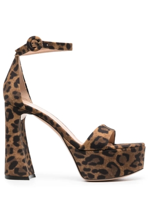 Gianvito Rossi Holly 120mm leopard-print sandals - Brown