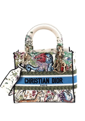 Christian Dior Pre-Owned Lady D-Lite Bag Embroidered Canvas Medium satchel - Blue