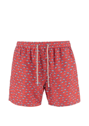 MC2 Saint Barth Lighting shark-print swim shorts - Red