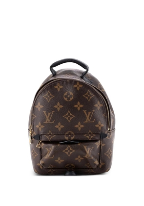 Louis Vuitton Pre-Owned Palm Springs Monogram Canvas Mini backpack - Brown