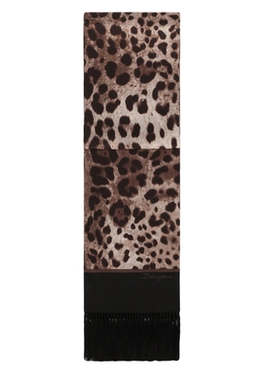 Dolce & Gabbana leopard print lightweight knitted scarf - Brown