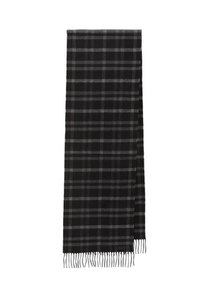 Saint Laurent tartan fringed scarf - Black
