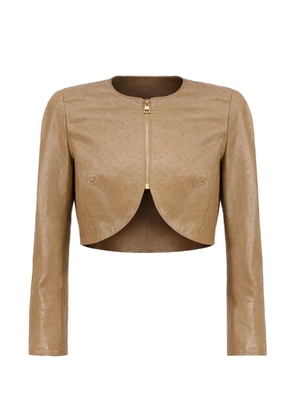 Elisabetta Franchi structured-shoulders textured-details zip-up cropped jacket - Brown