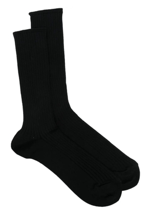 Auralee Giza ribebd ankle socks - Black